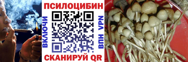 блэк спрут   где продают наркотики  Назарово  Псилоцибиновые грибы GOLDEN TEACHER 