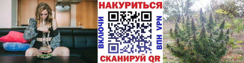 Каннабис планчик  Назарово 